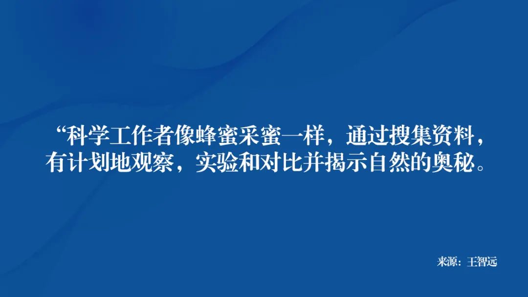 如何正确吸收理论知识？